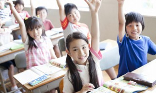 wolf什么意思中文 Wolf什么意思中文