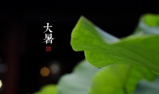 关于大暑的手抄报 关于大暑的手抄报简单又漂亮