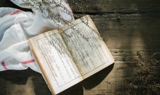 人面桃花相映红全诗出处（人面桃花相映红全诗解释）