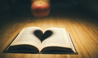 红豆生南国原文翻译及赏析（红豆生南国这首诗的意思是什么）