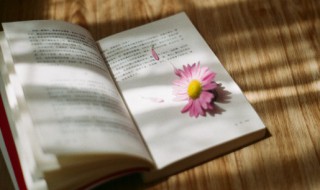 小儿垂钓原文翻译及赏析 小儿垂钓 的译文