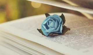 王偏旁的字有哪些字（王加王偏旁的字有哪些字）