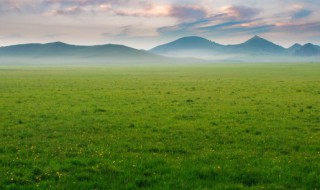 敕勒歌原文 敕勒歌原文及翻译