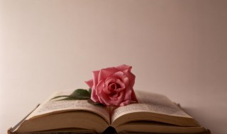 倏忽的意思是什么（倏忽的意思是什么并造句）