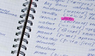 function是什么意思啊