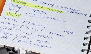 seeds是什么意思（chiaseeds是什么意思）