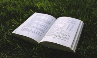 悲观的反义词（悲观的反义词是什么 标准答案）