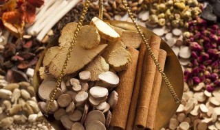 中医自考本科有什么条件与要求 中医能自考本科吗