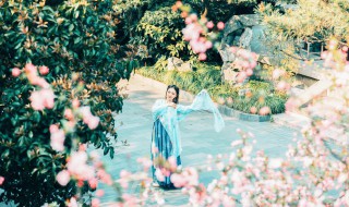 人面桃花相映红全诗原文翻译及赏析（人面桃花相映红这首诗）