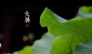 大暑节气的特征有哪些 大暑的节气特点是什么