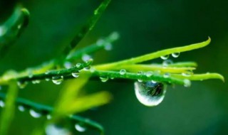 大暑的来历和气候特点（大暑的来历和气候特点和风俗）