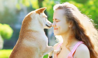 女生为什么适合养干净的狗狗? 女生为什么适合养干净的狗狗和狗狗