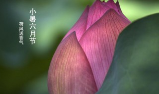 小暑的天气特点是怎么样的 小暑的天气特点是怎么样的英语