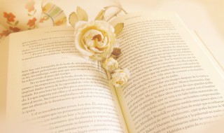 lead什么意思 lead in什么意思