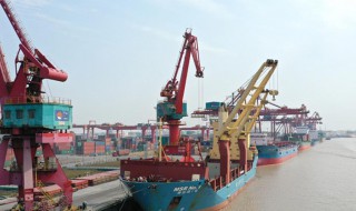 pod是什么意思 海运pod是什么意思