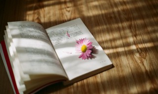 本末倒置的意思是什么 本末倒置意思是什么意思本末倒置