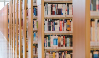 单招死档是什么意思（单招掉档是什么意思）