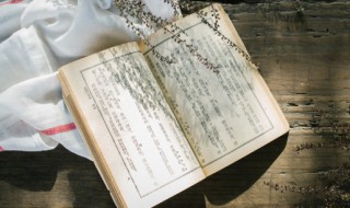 最经典边塞诗带翻译（边塞诗的翻译）