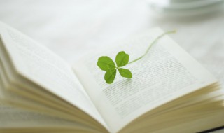 瞠目结舌是什么意思（瞠目结舌是什么意思解释）