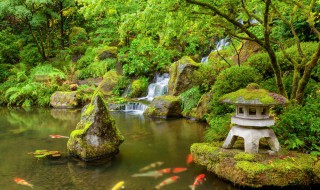 古诗小池全部解释 古诗小池解释视频