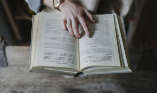 托单是什么意思（彩票托单是什么意思）