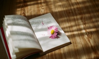 率先垂范的意思是什么 率先垂范意思和用法