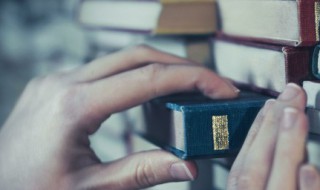 七月诗派名词解释 七月诗派名词解释简答