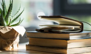 山水田园诗派名词解释 山水田园诗派名词解释古代文学