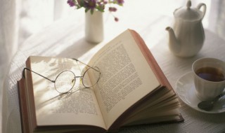 七星诗社名词解释（七星诗社名词解释法语）