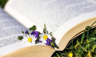 岁岁年年万喜万般宜出自哪（岁岁年年万喜万般宜出自哪里）