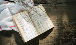 乐府诗名词解释（乐府诗名词解释古代文学）