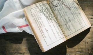 纲领的名词解释是什么（纲领的名词解释是什么）