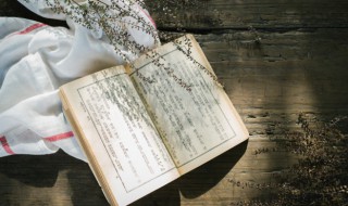 玄言诗名词解释（玄言诗名词解释考研）