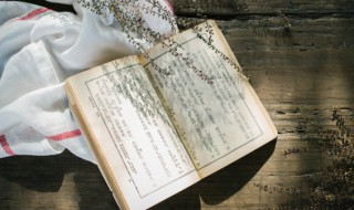 古诗风李峤带拼音解释(李峤的古诗风全文带拼音)