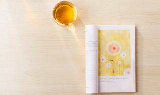 春天是一本书赏析 春天是一本书内容