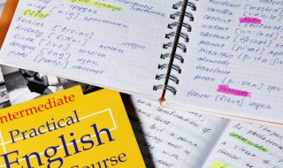 apply什么意思中文