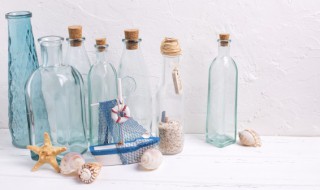 bottles是什么意思