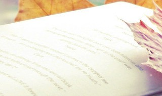 引吭大叫的解释（引吭大叫的解释是什么）