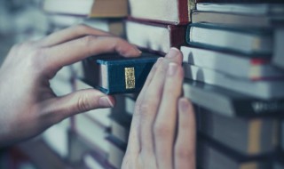 施琅大将军简介（施琅大将军简介内容）