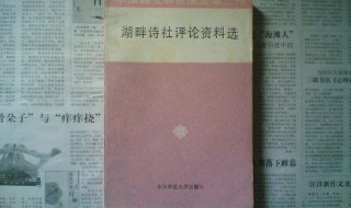 湖畔诗社名词解释（湖畔诗社名词解释现代文学）