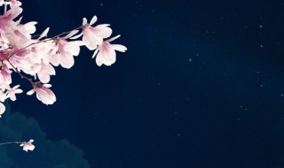 朦胧诗派名词解释 朦胧诗派名词解释自考