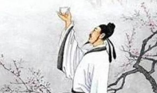 题西林壁简单解释（题西林壁的题解释是什么）