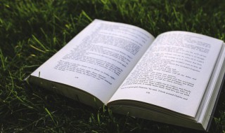 乡村四月古诗的解释（乡村四月的诗意解释）