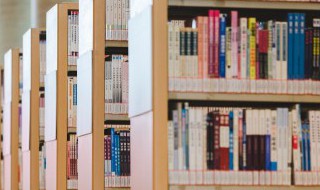 字的意思（字的意思和含义）