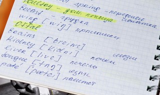 america是什么意思（Americans是什么意思）