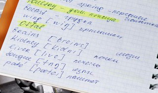 deadline什么意思（essay deadline什么意思）