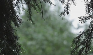 白噪音是什么意思 白噪音是什么意思百科