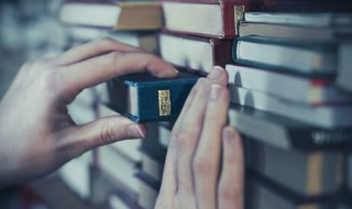 凡尔纳的简介（凡尔纳的简介100字）