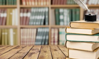 子夜简介 小说子夜简介