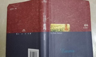 爱玛小说简介 爱玛小说简介大全